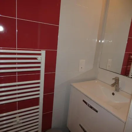 Apartmán : 4 Pers, Terrasse Vue Foret - Fr-1-540-322 *