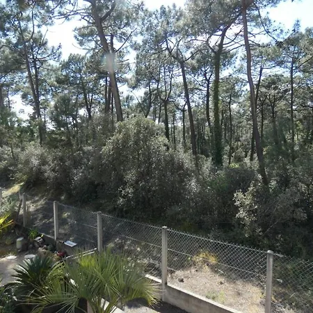 : 4 Pers, Terrasse Vue Foret - Fr-1-540-322 Notre-Dame-de-Monts