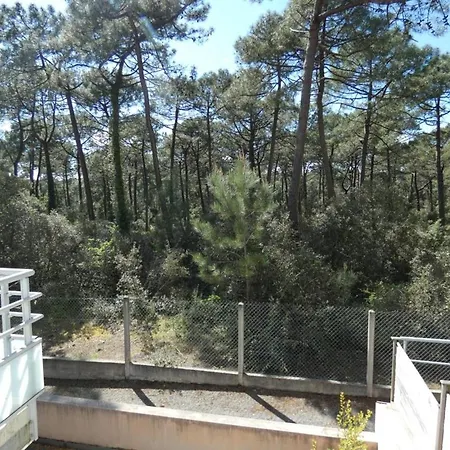 : 4 Pers, Terrasse Vue Foret - Fr-1-540-322 *